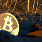 The Role of Cryptocurrency in Environmental Conservation